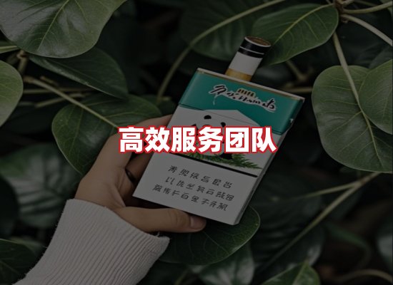 专业团队
